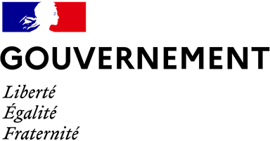 French Gov logo