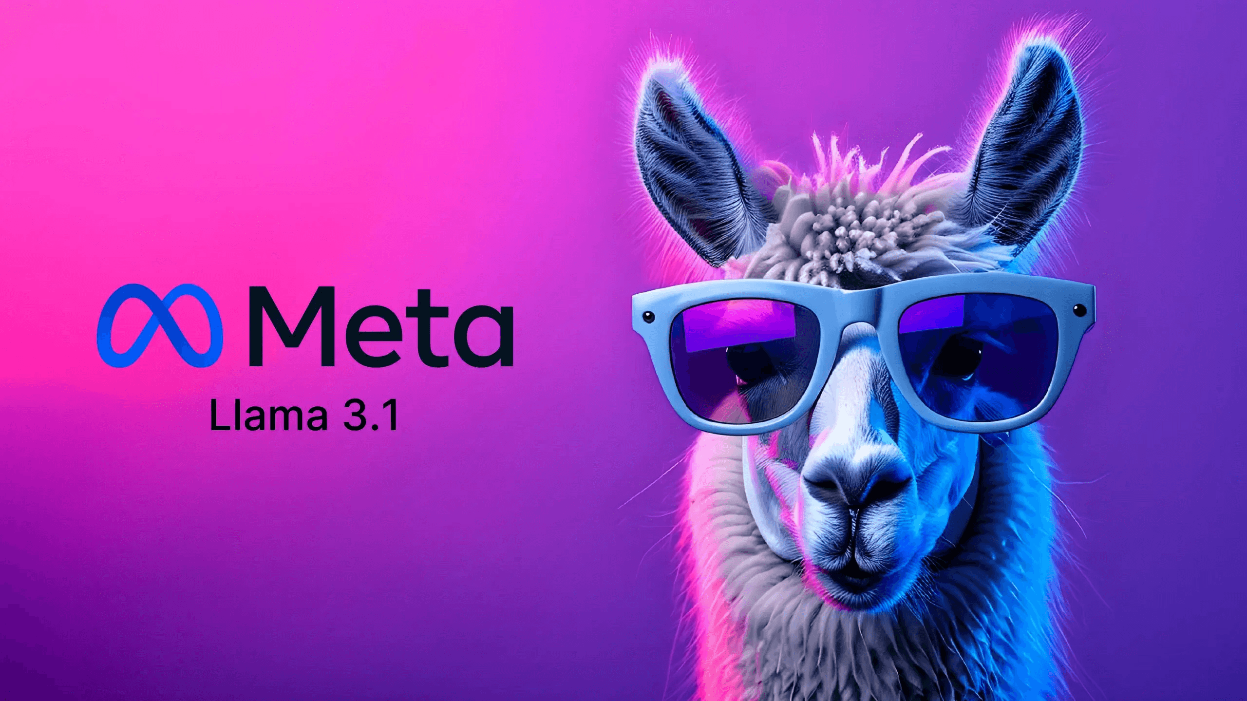 Meta Llama