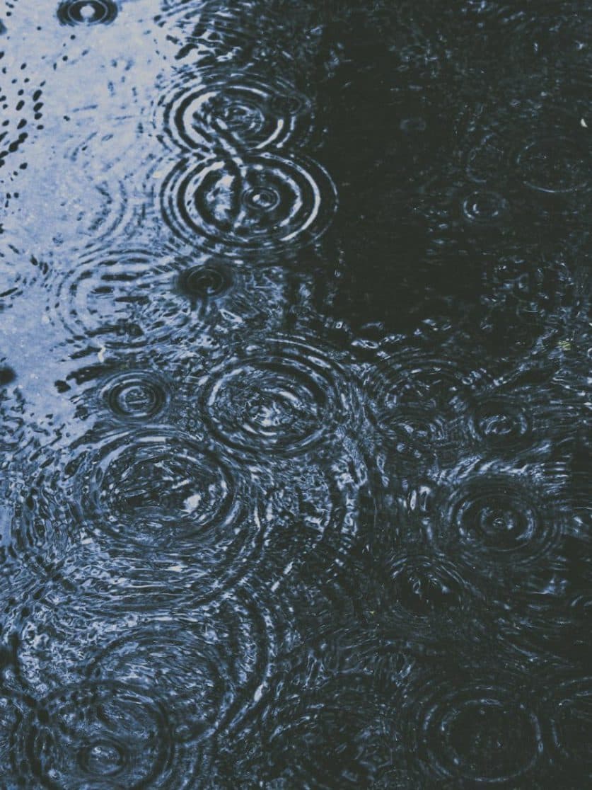 Rain falling on the surface of water.